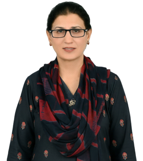 Prof. Dr. Farhat Saleemi